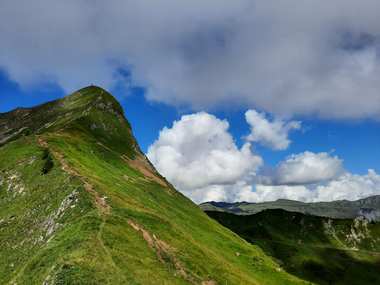 © Melanie Fleisch © Melanie Fleisch