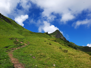 © Melanie Fleisch © Melanie Fleisch