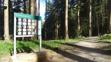 © Melanie Fleisch © Melanie Fleisch