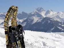 BERGaktiv Schneeschuhwanderung in die Kernzone Lutz