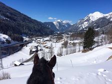 Ausritt Alte Bahn, oberhalb vom Klostertal