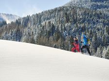 Wanderstockverleih Bludenz