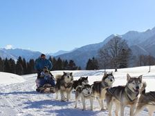 Husky Camp