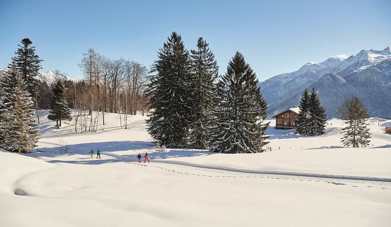 Schneeschuhwandern