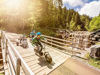 Mountainkarts und Monsterroller