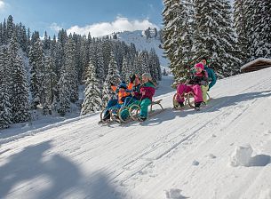 Toboggan Runs